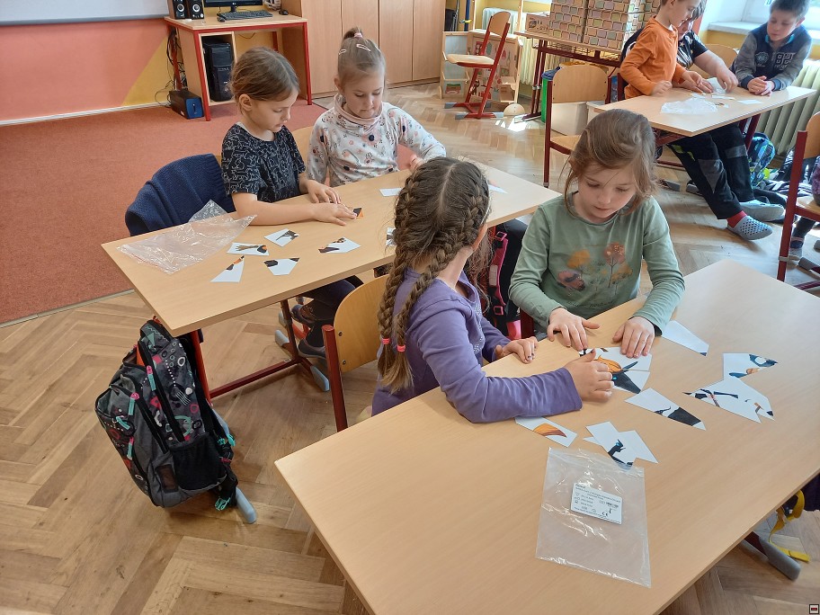 img00019.jpg