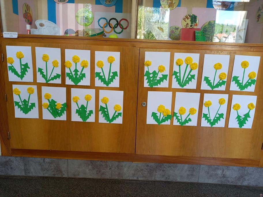 img00015.jpg