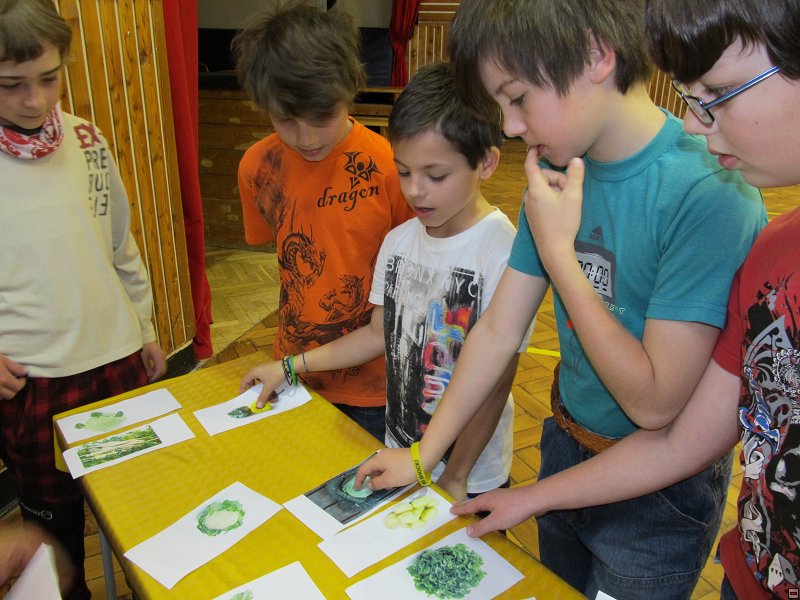 img00015.jpg