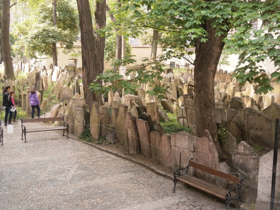 img00006.jpg