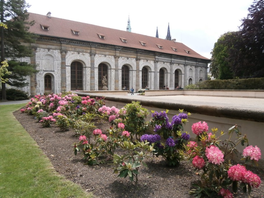img00020.jpg