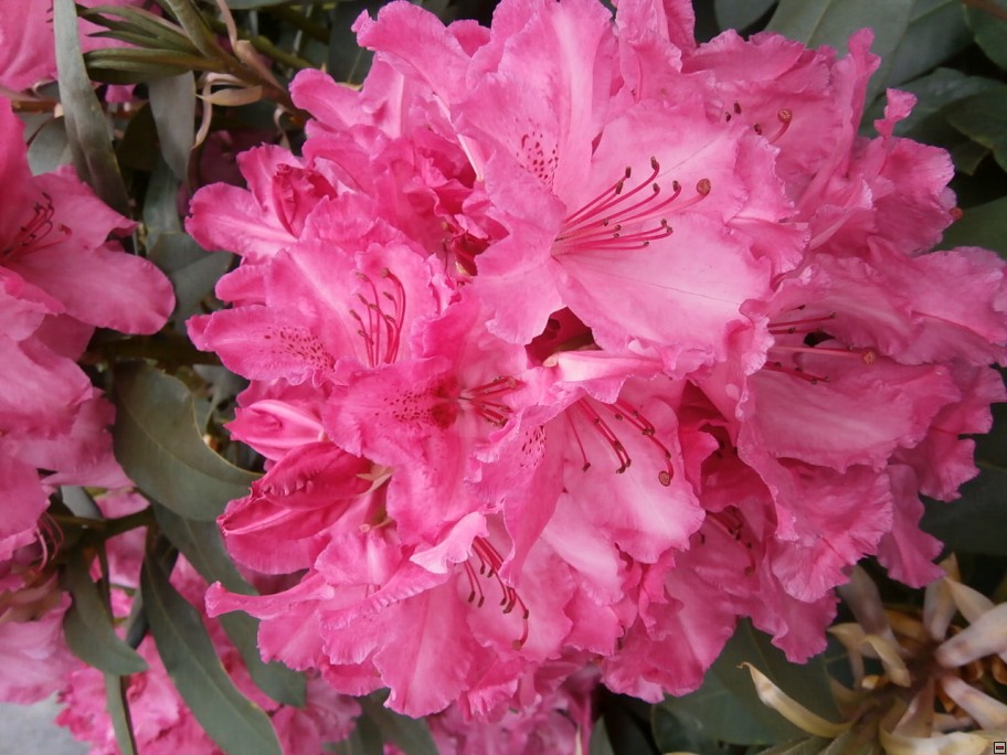 img00034.jpg