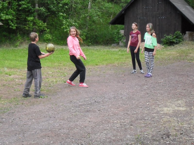 img00039.jpg