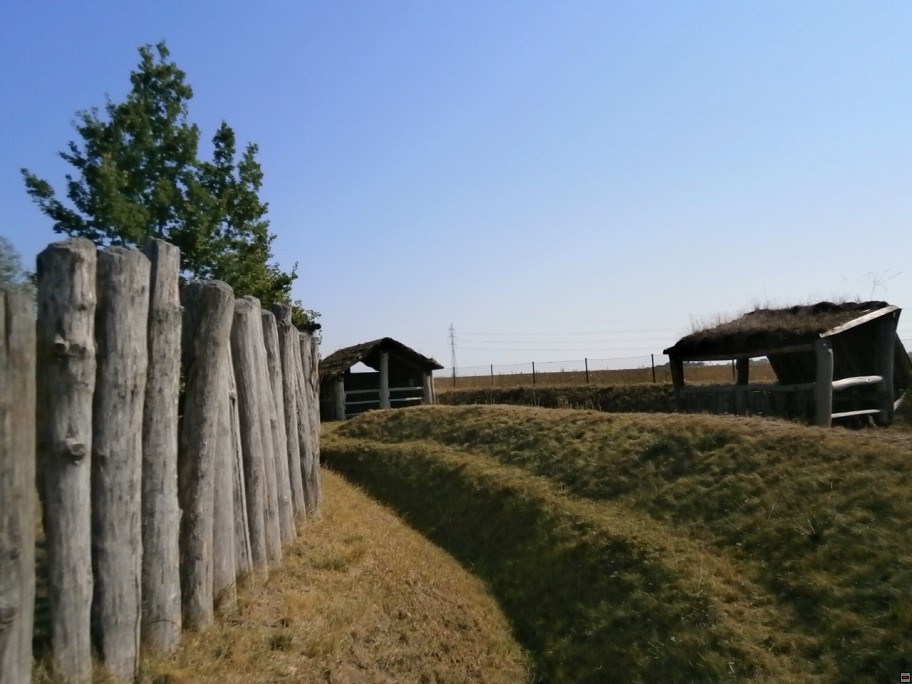 img00038.jpg