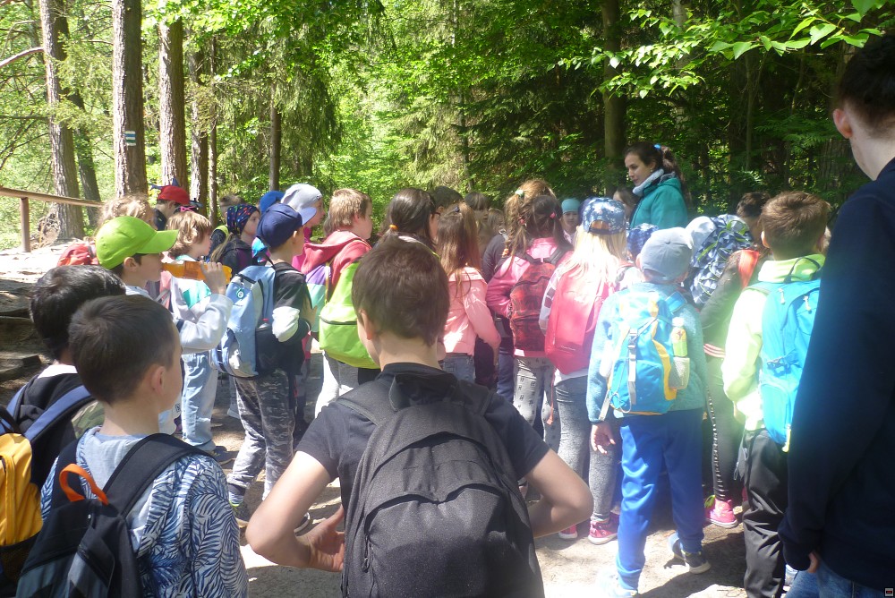 img00015.jpg