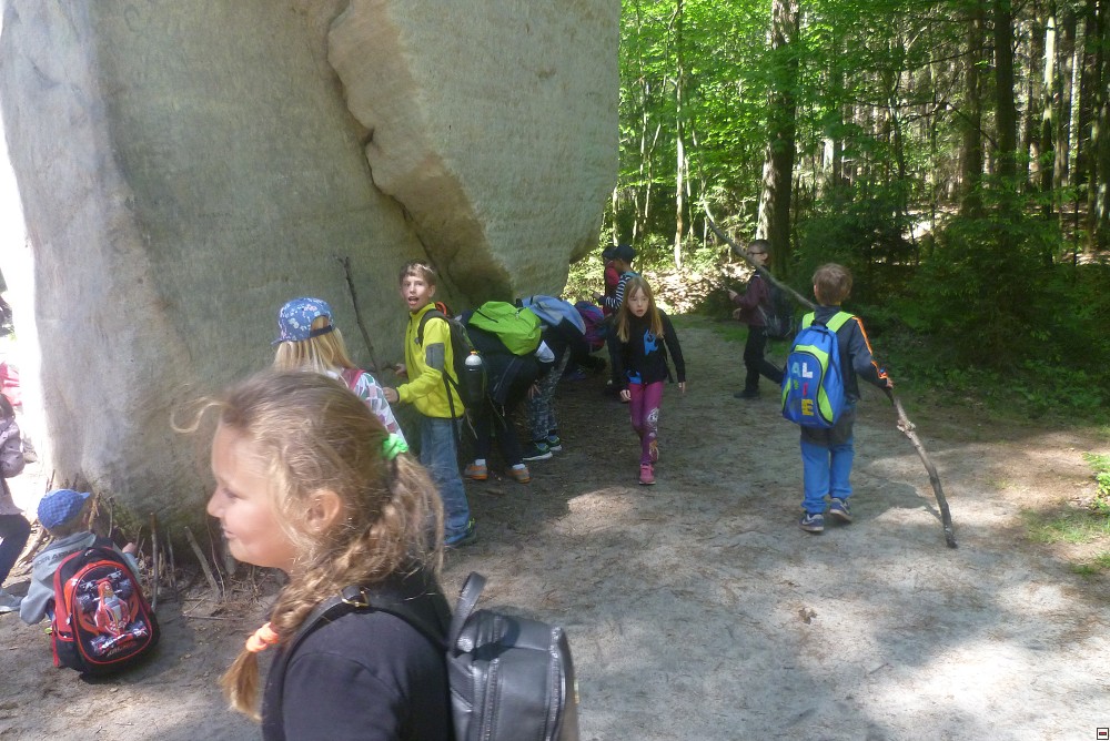 img00020.jpg