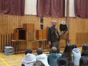 Den Země - dravci, sovy