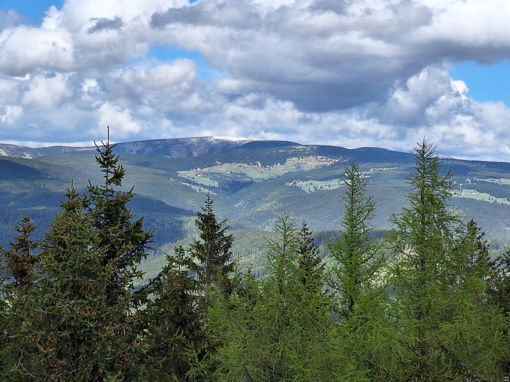 img00046.jpg