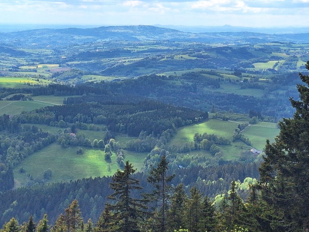img00047.jpg