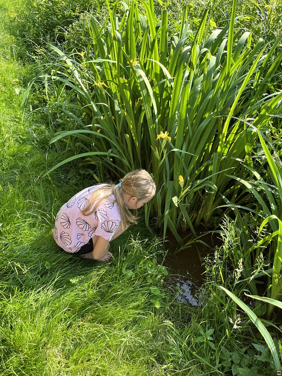 img00045.jpg