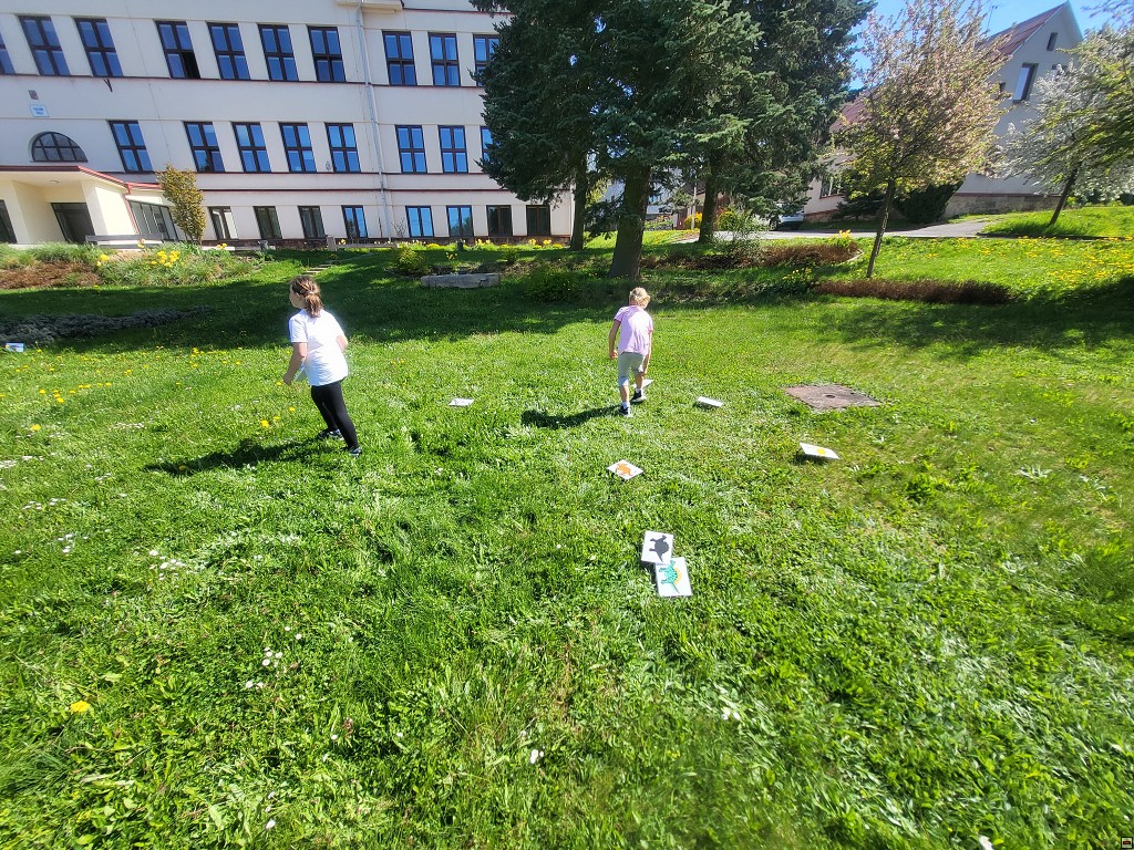 img00057.jpg