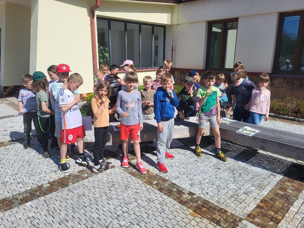 img00060.jpg